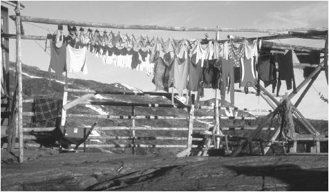 Laundry hanging at a farm in Jakobshavn. Most Greenlandic homes are constructed of stone, sod, or wood.