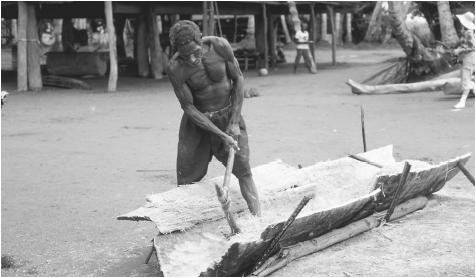 A man splitting a sago palm trunk using traditional tools.
