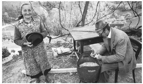 A Slovenian peasant removes corn from the dried cobs while his wife holds his new hat. Clothing is one sign of Slovenia's new affluence; the country has one of the strongest economies among the formerly socialist East European nations.