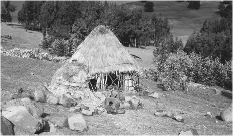 A traditional Ethiopian rural home built in cylindrical fashion with walls made of wattle and daub.
