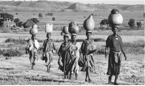 A group of women return from Lake Tana with jugs of water. Ethiopian women are traditionally in charge of domestic chores, while men are responsible for activities outside the home.